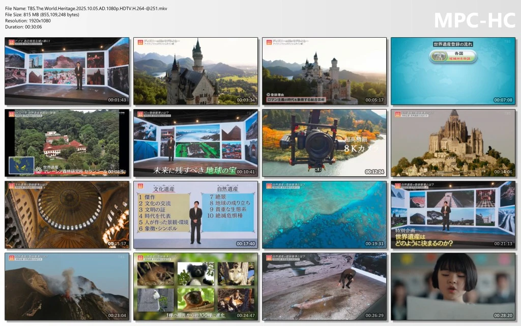 81193ef8b83313e2880912cdf45c8f99.webp